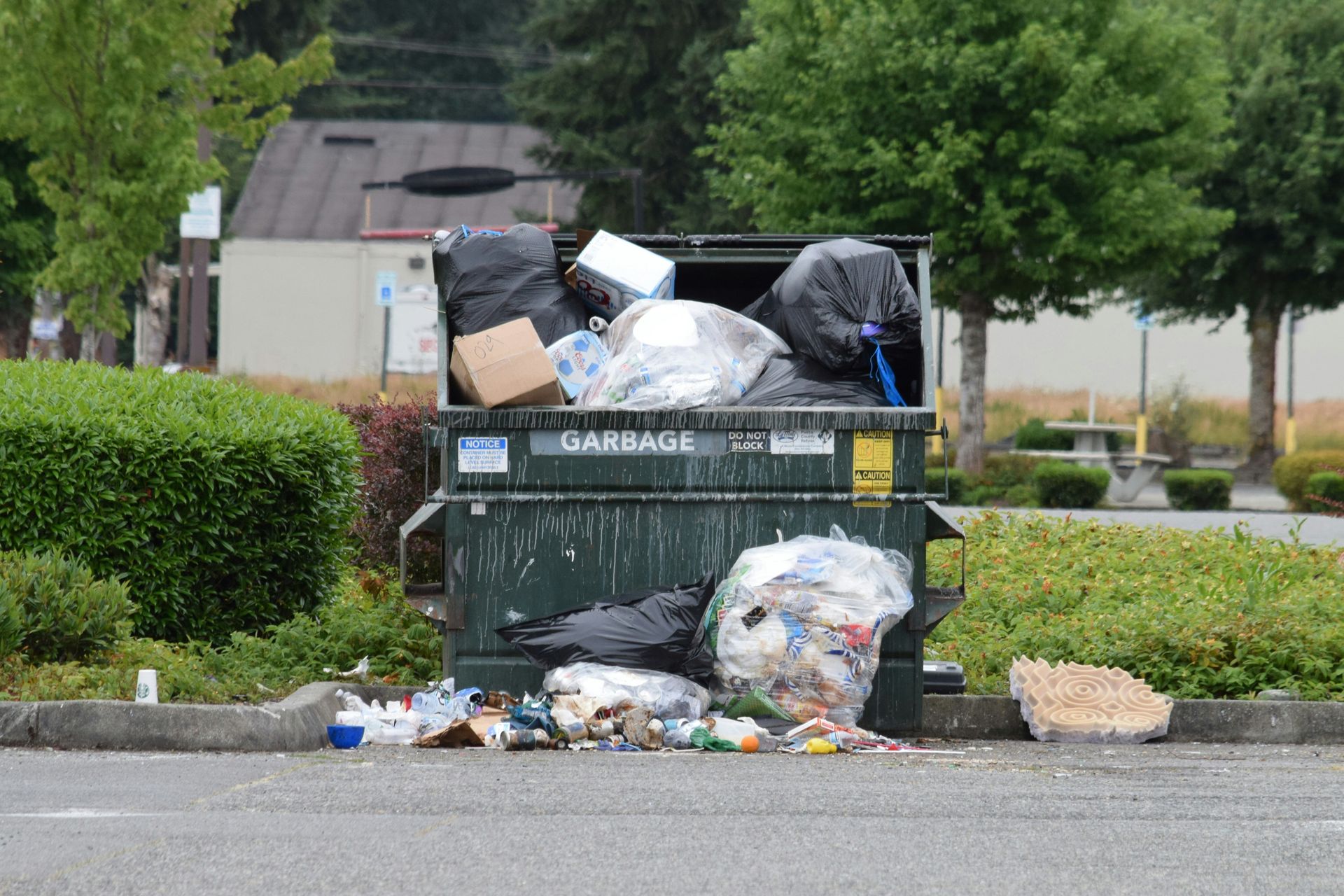Overflowing dumpster with trash on the ground